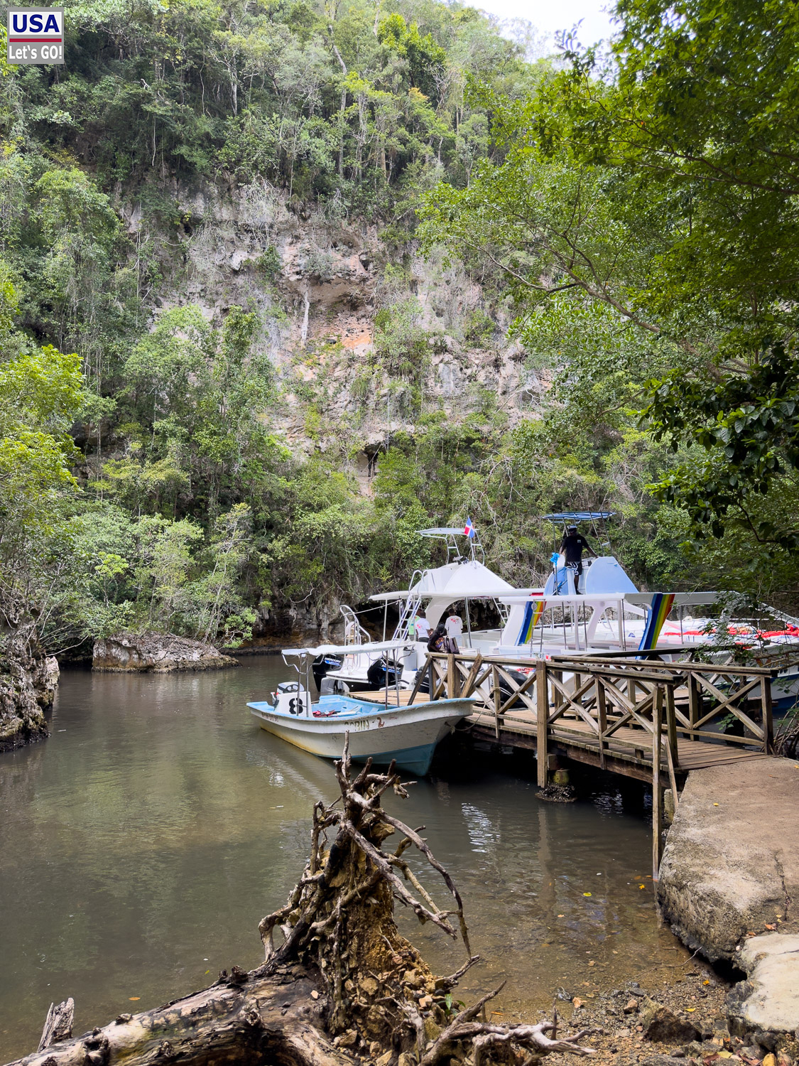 Mangrovendschungel zur Cueva de la Arena, Los Haitises