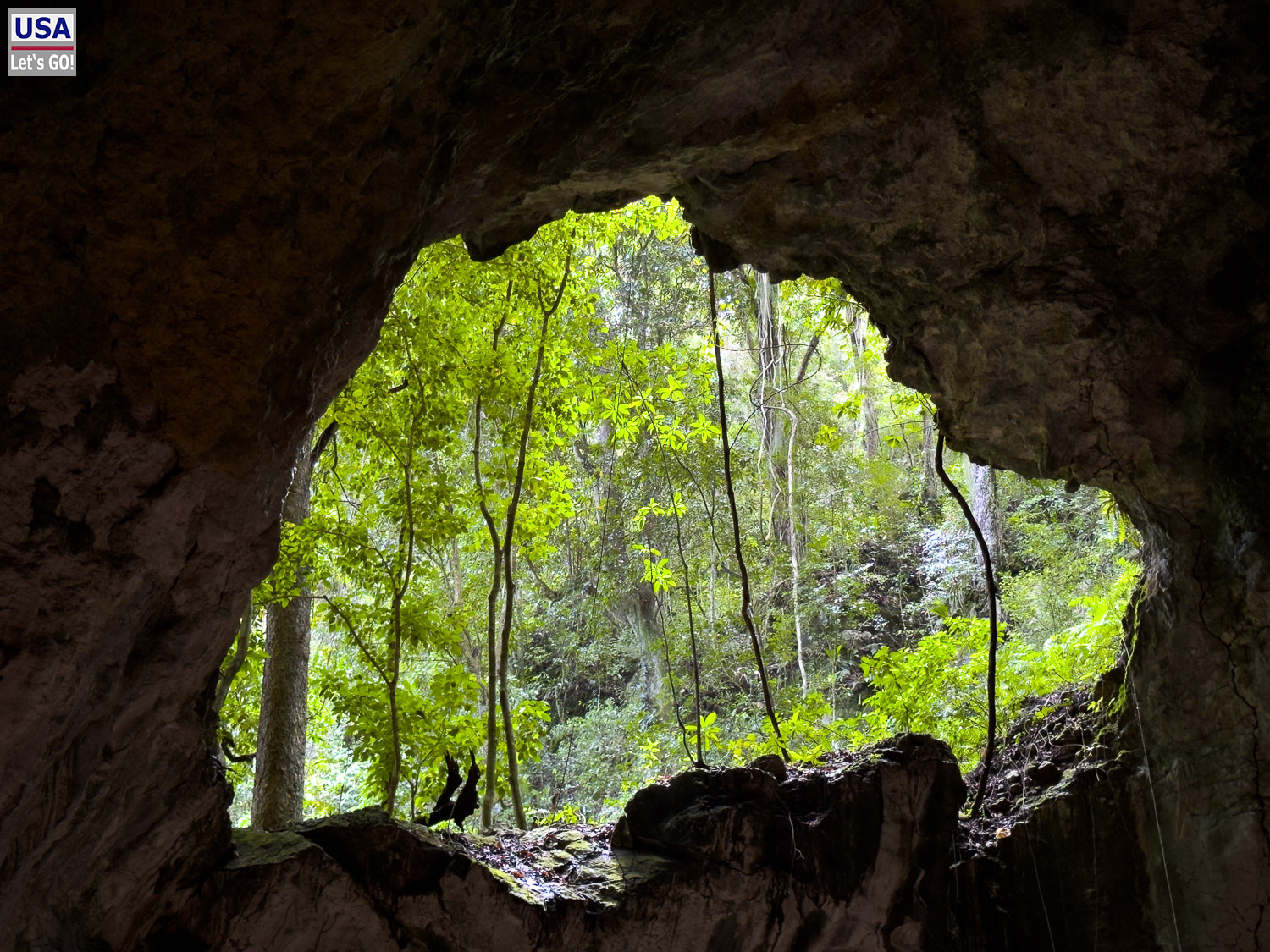 In der Cueva de la Arena, Los Haitises