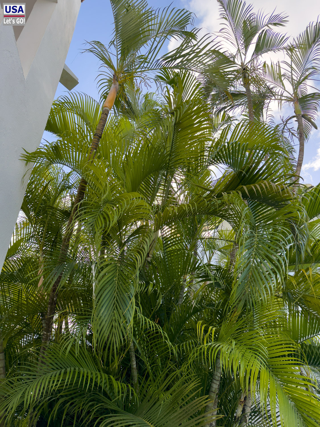 Anlage des Sunscape Dominicus, Bayahibe