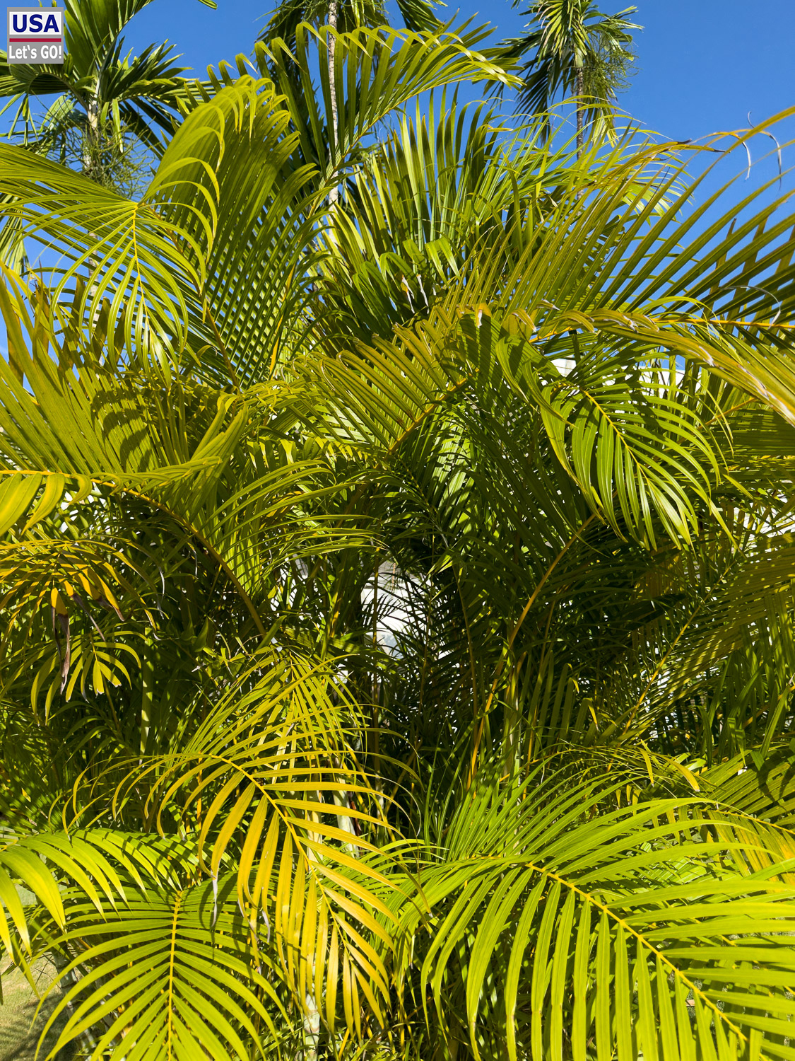 Sunscape Dominicus in Bayahibe bei Sonnenschein