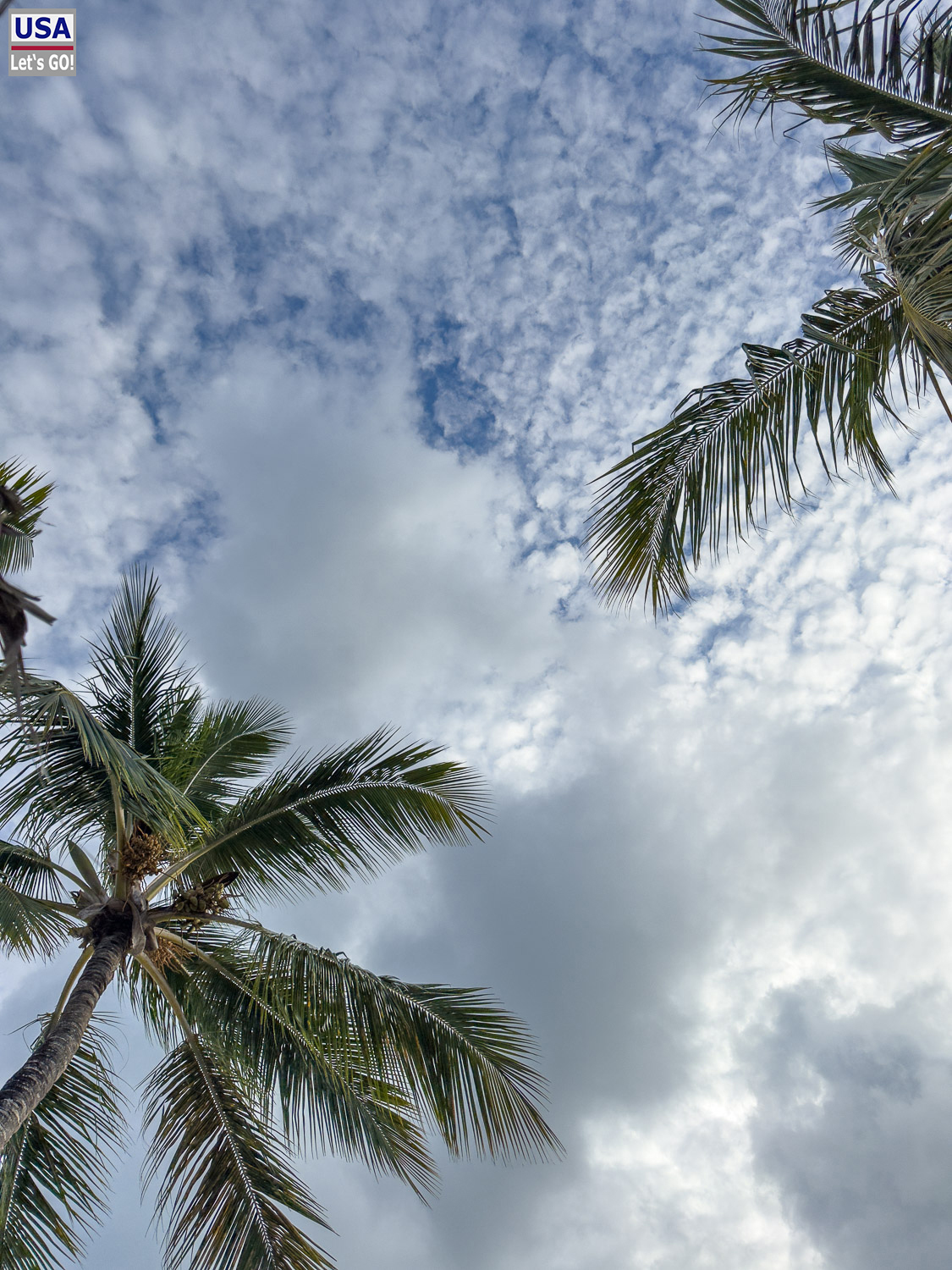 Strand des Sunscape Dominicus, Bayahibe