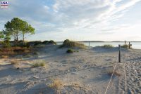 Amelia Island State Park (FL)