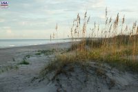 Amelia Island State Park (FL)