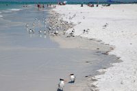 Anna Maria Island (FL)