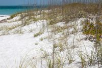 Anna Maria Island (FL)