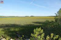 Big Talbot Island State Park (FL)