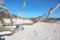 Big Talbot Island State Park (FL)