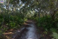 Big Talbot Island State Park (FL)