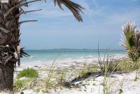 Caladesi Island State Park (FL)