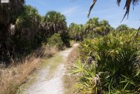 Caladesi Island State Park (FL)