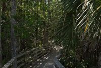 Corkscrew Swamp Sanctuary (FL)