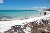 Egmont Key State Park (FL)