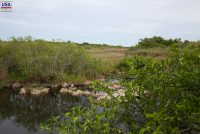 Everglades National Park (FL)
