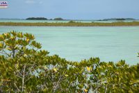 Everglades National Park (FL)