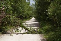 Fakahatchee Strand Preserve State Park (FL)