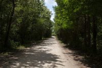 Fakahatchee Strand Preserve State Park (FL)