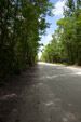 Fakahatchee Strand Preserve State Park (FL)