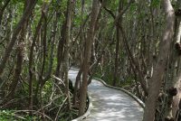 Four Mile Cove Ecological Preserve (FL)