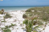 Honeymoon Island State Park (FL)