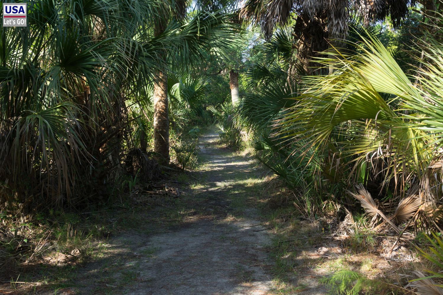 Little Talbot Island State Park (FL)