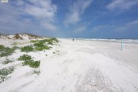 Ponce de Leon Inlet Lighthouse & Lighthouse Park (FL)