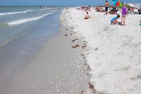 Sanibel Island & Captiva Island (FL)