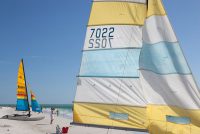 Siesta Beach (FL)