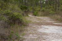 St. George Island State Park (FL)