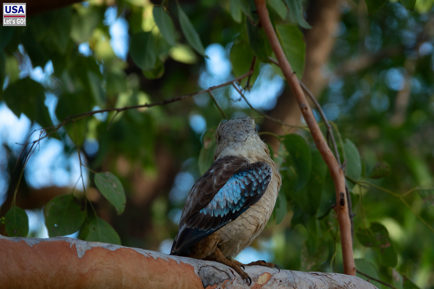 Australien