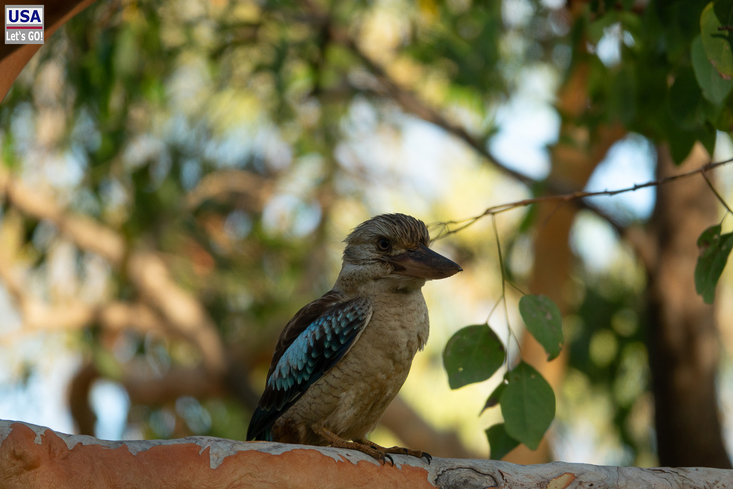 Australien
