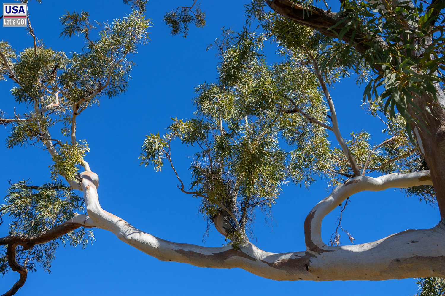 Australien