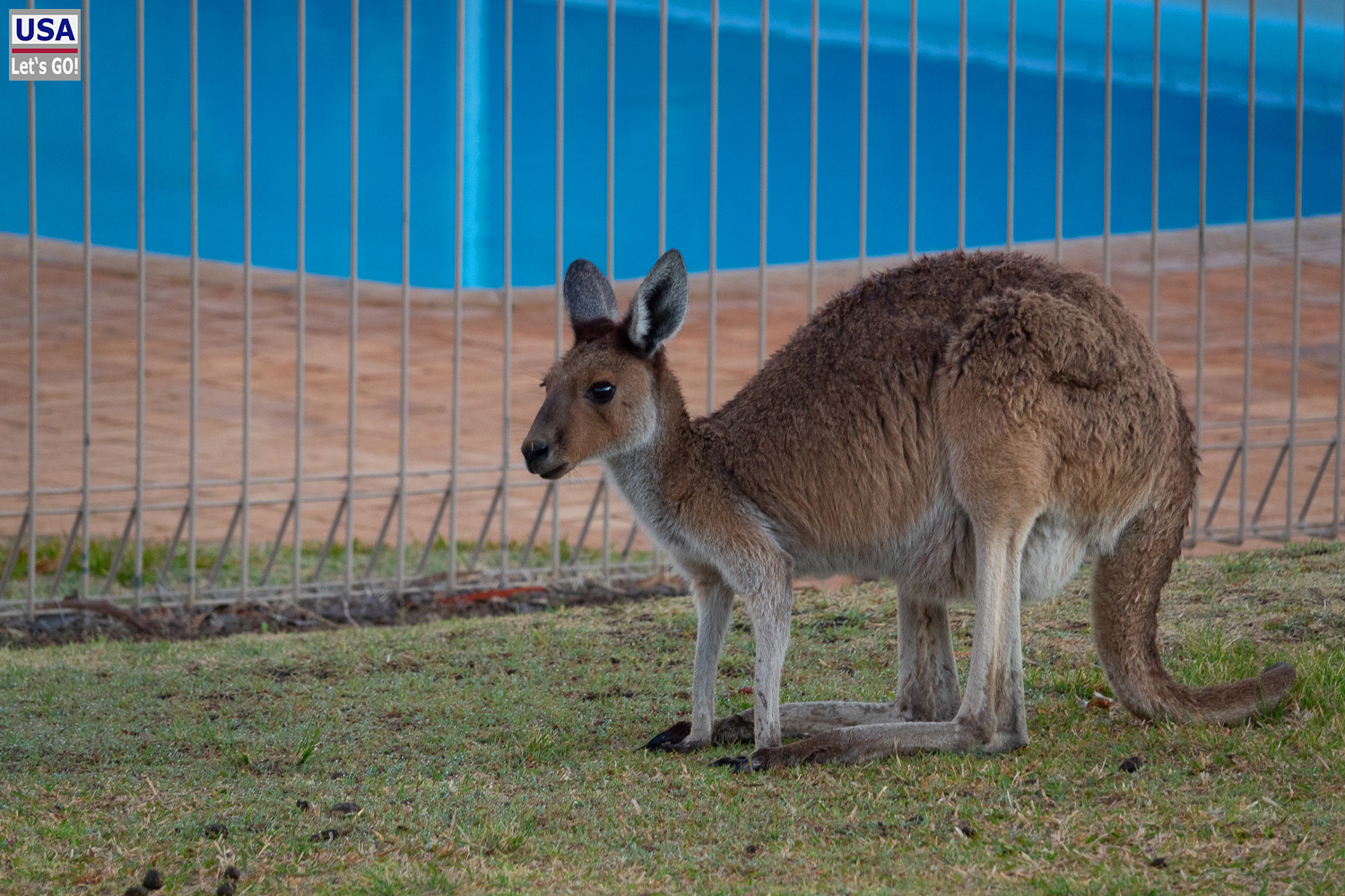 Australien