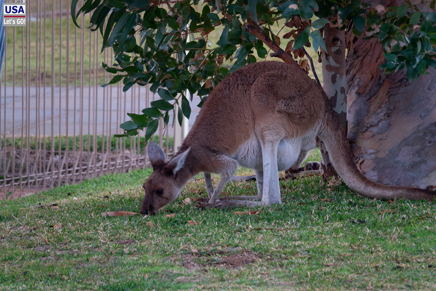 Australien