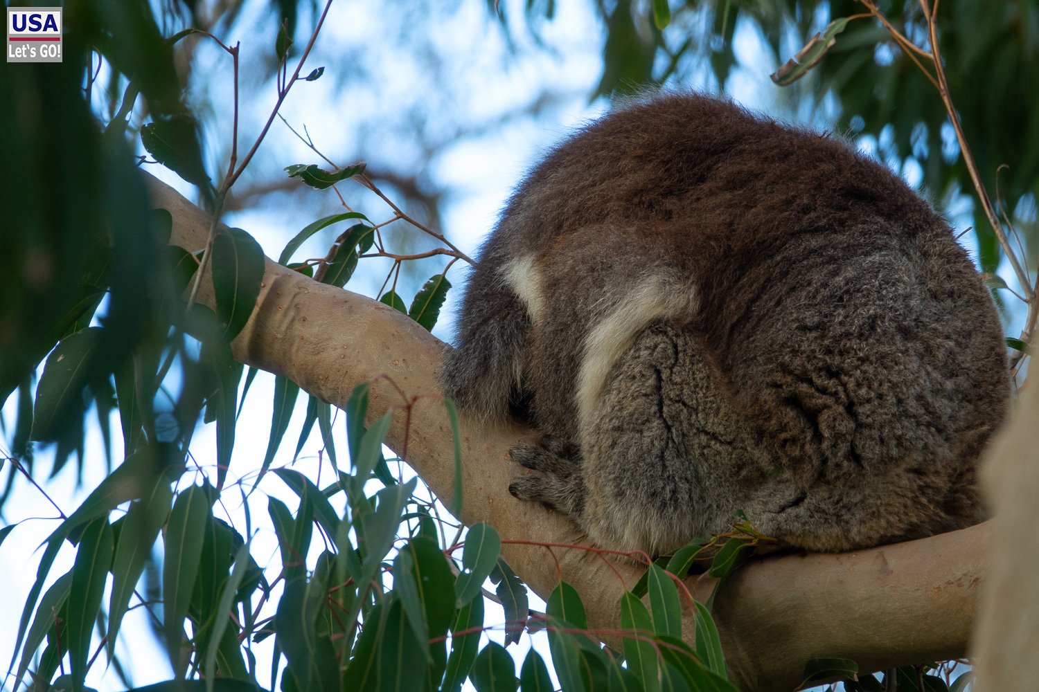 Australien