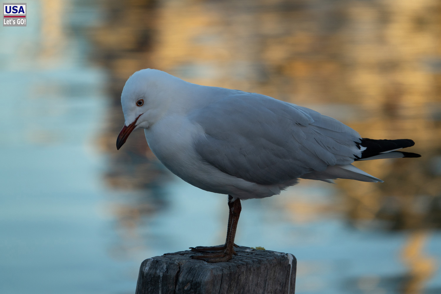 Australien