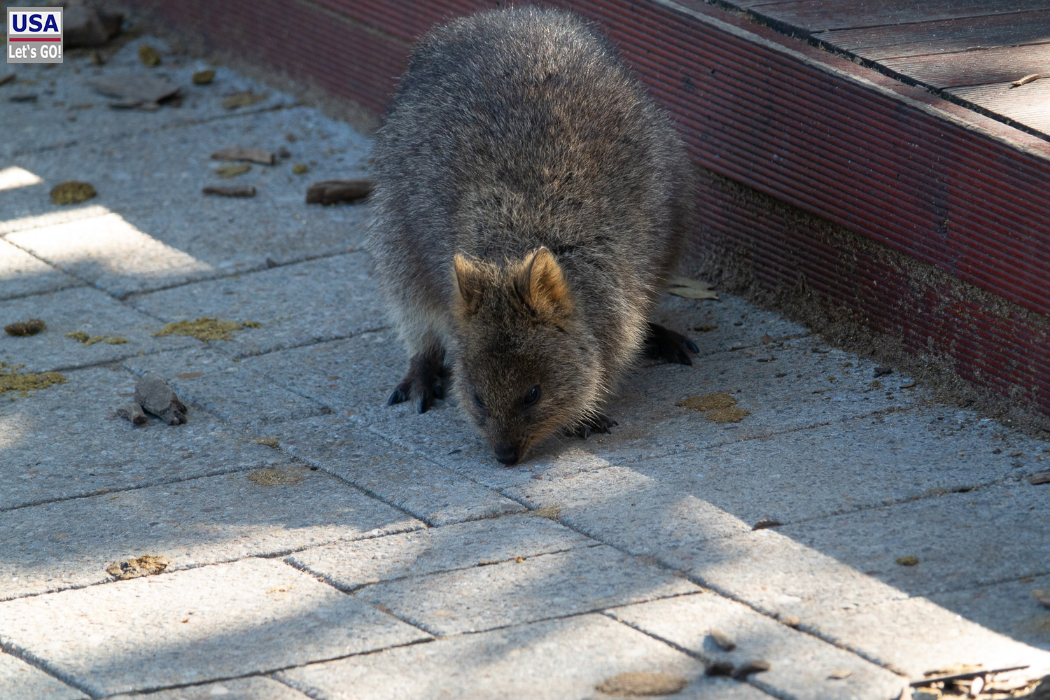 Australien