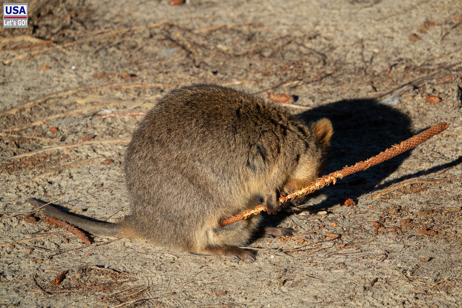 Australien