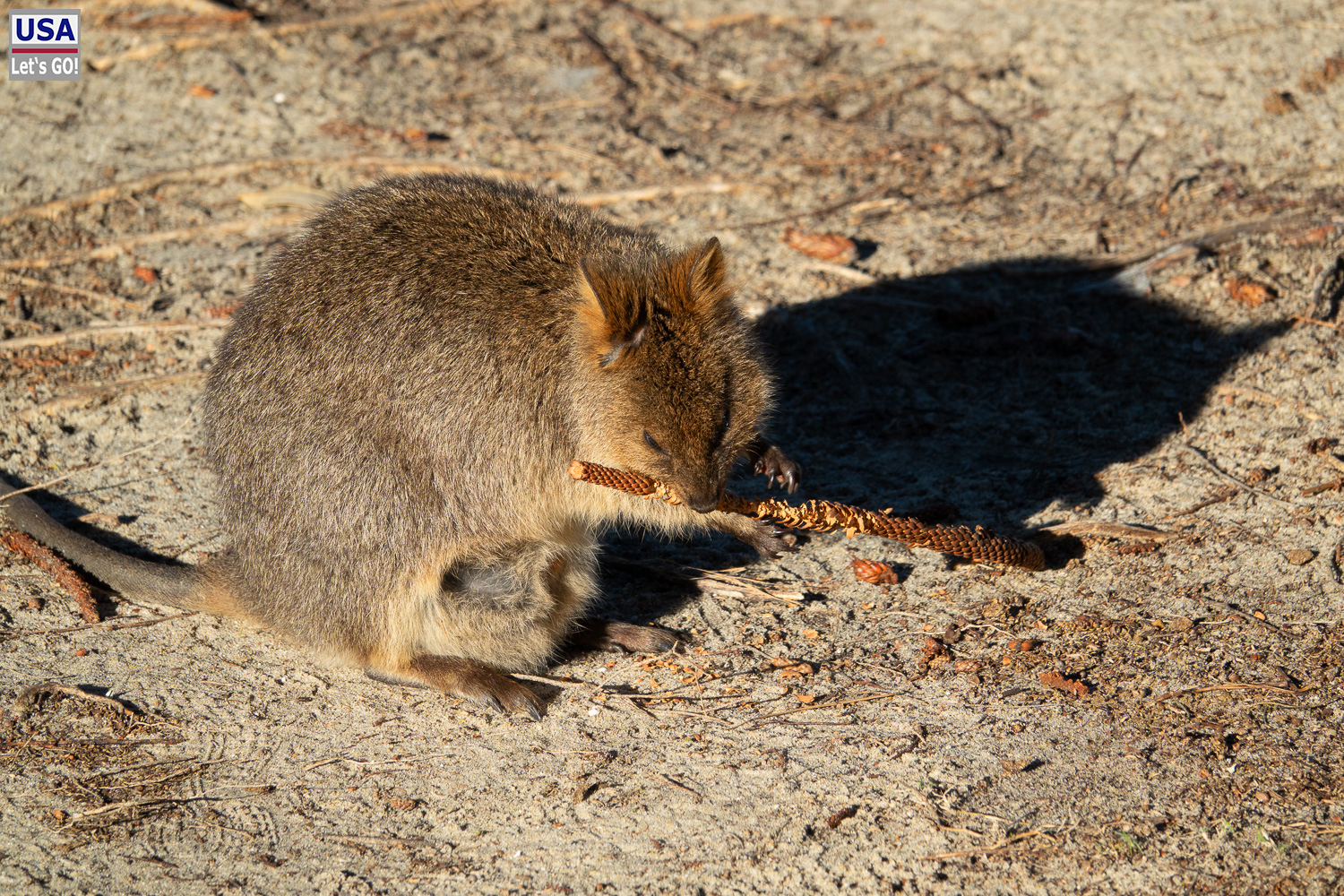 Australien