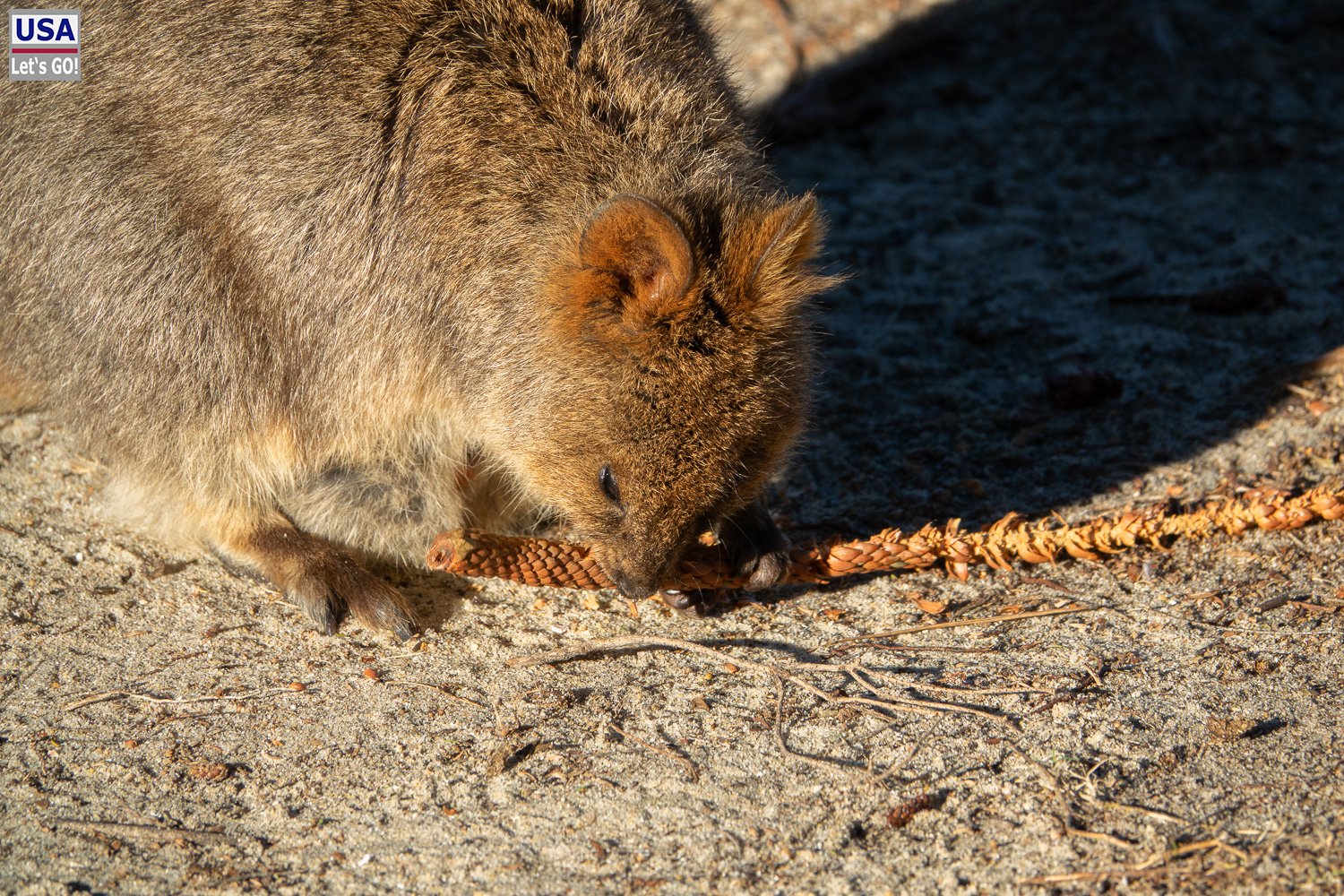 Australien