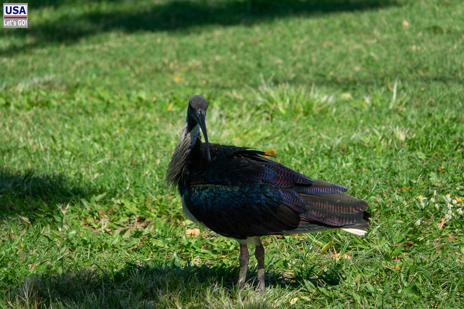 Australien