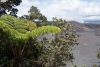 Hawai'i Volcanoes National Park (Big Island)