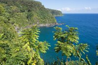 East Maui Sights (Maui)