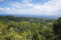 East Maui Sights (Maui)