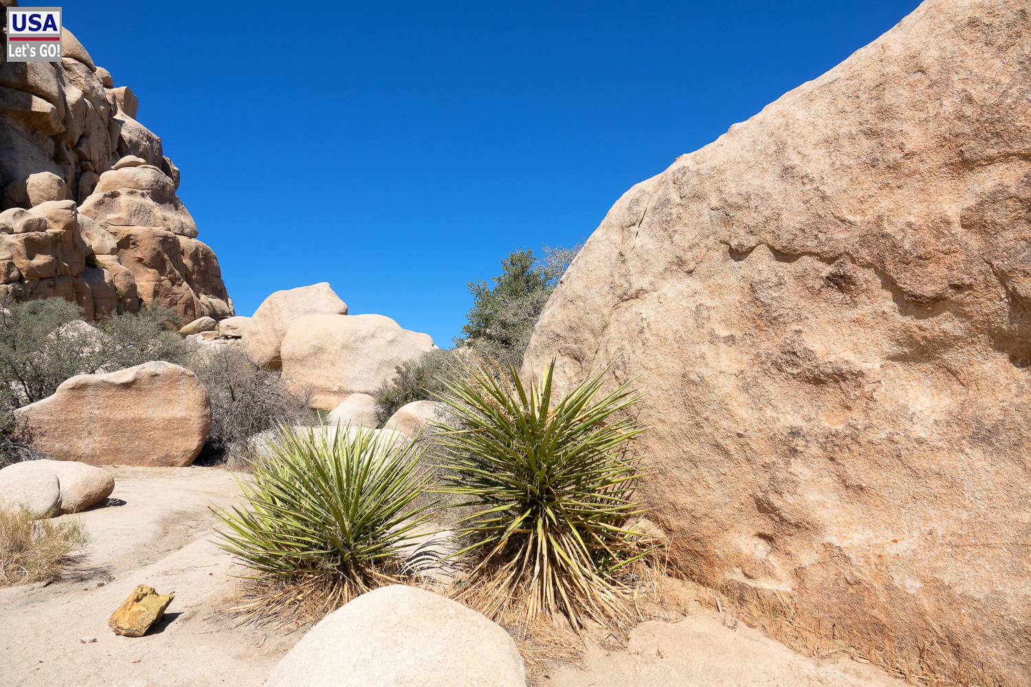 High Desert Tour 2022