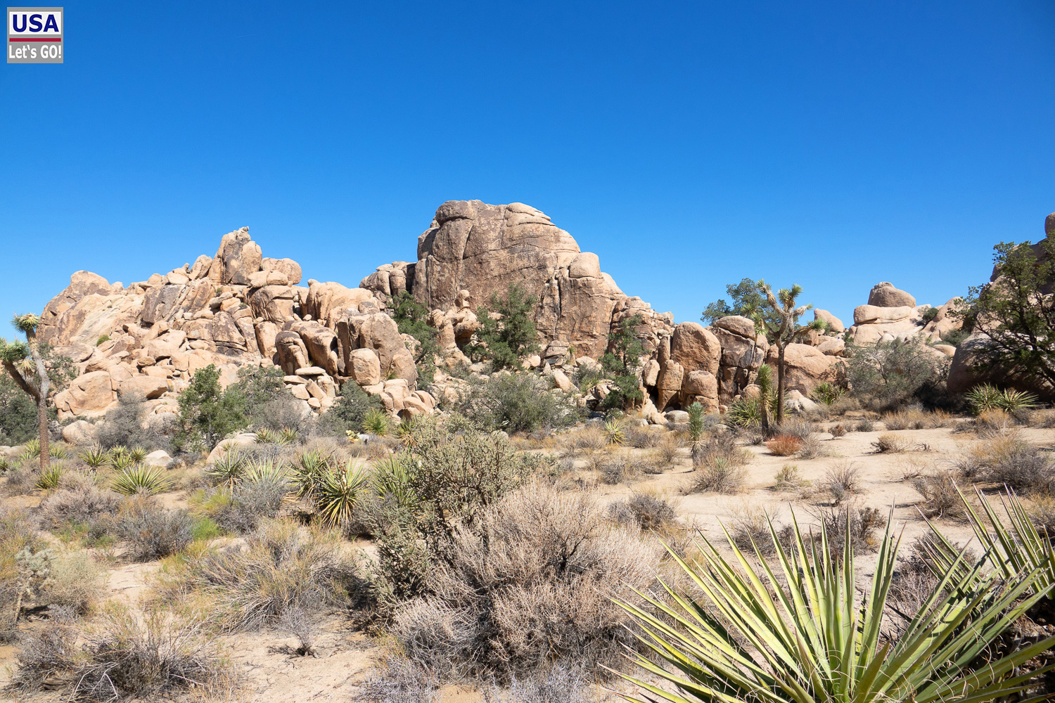 High Desert Tour 2022