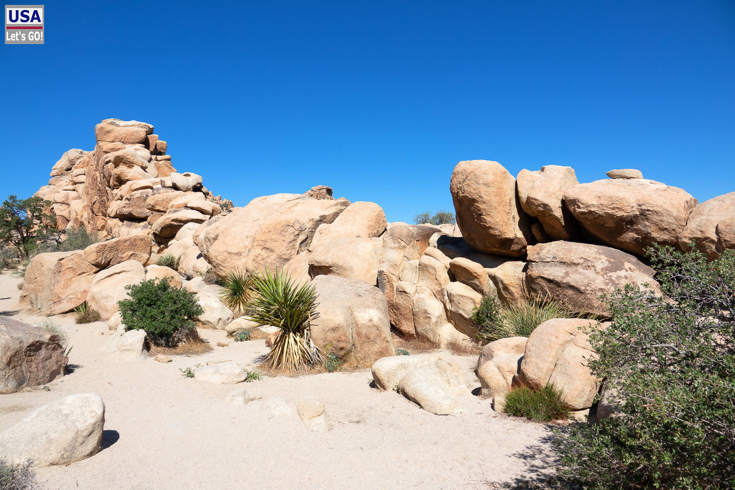 High Desert Tour 2022