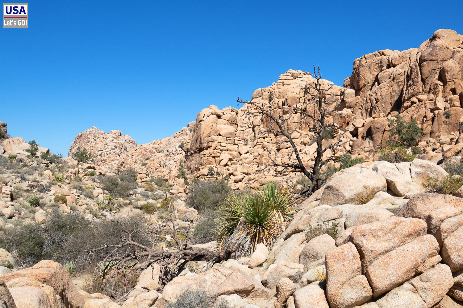 High Desert Tour 2022