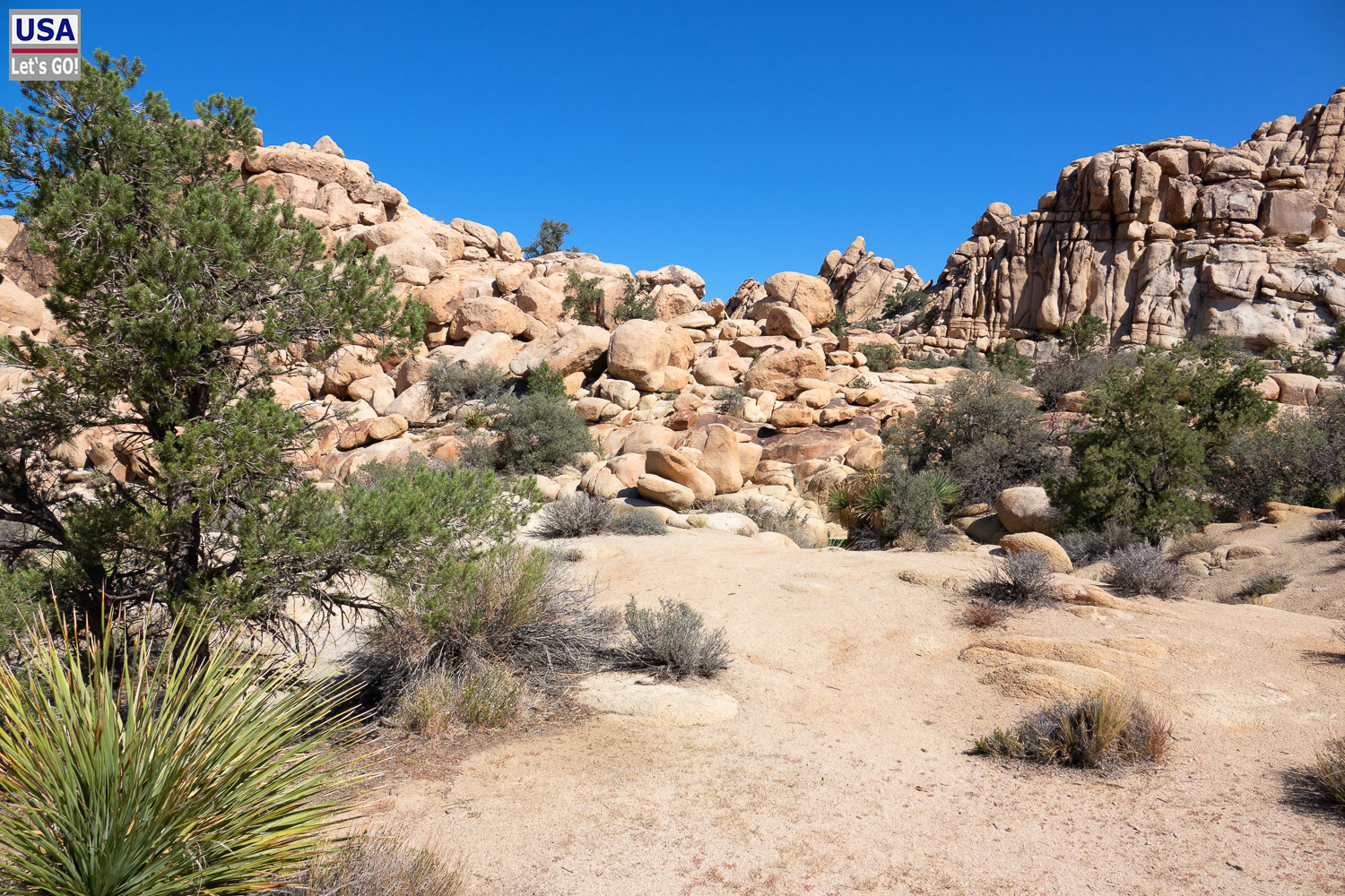 High Desert Tour 2022