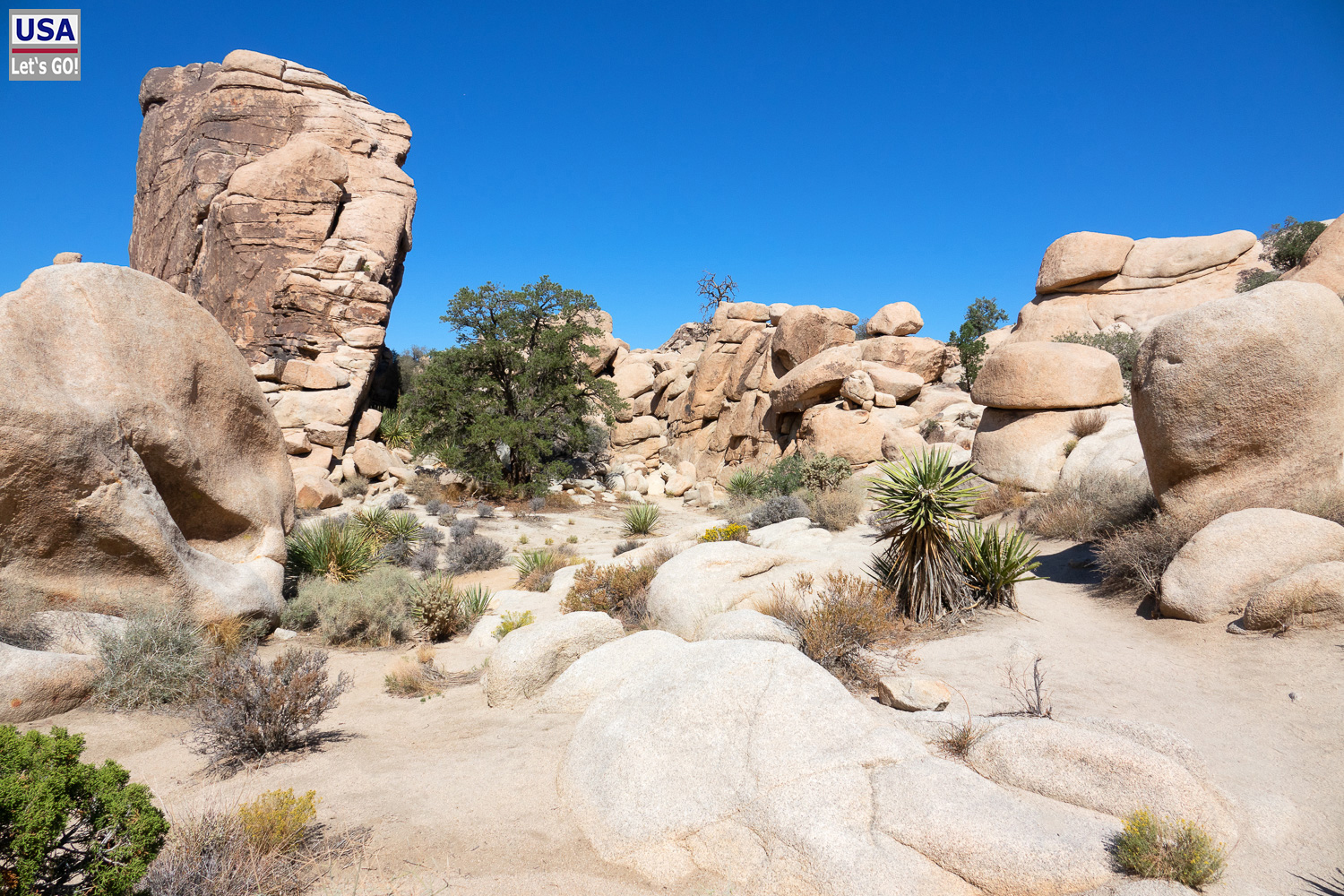 High Desert Tour 2022