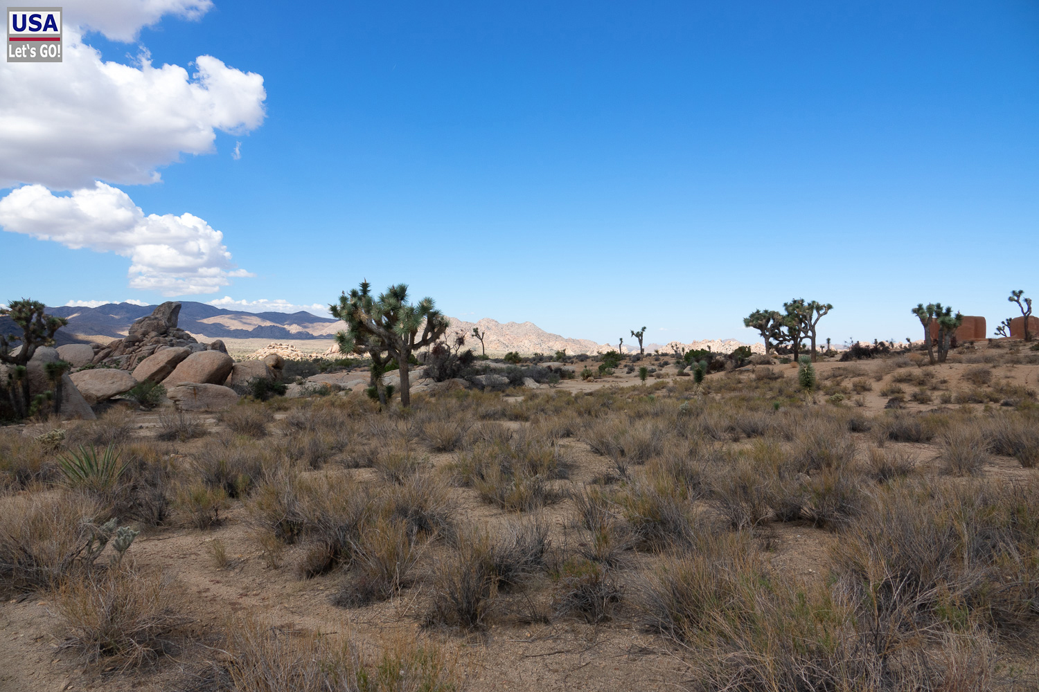 High Desert Tour 2022